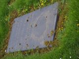 image of grave number 779608